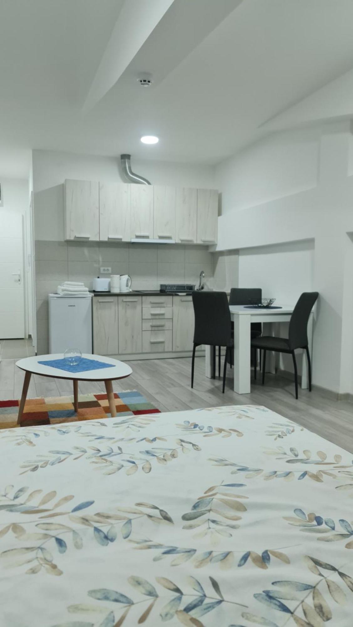 Studio Apartmani Banja Koviljača Rum bild