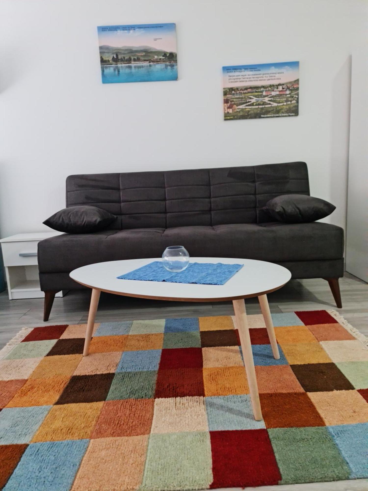 Studio Apartmani Banja Koviljača Rum bild